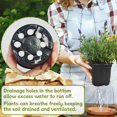 Person holding plant in 100 Piece Seedling Pots Set With 4 Inch Propagation Containers And Drainage Holes For Indoor Outdoor Gardening Starter Pots For Balcony Backyard Greenhouse And Home Garden