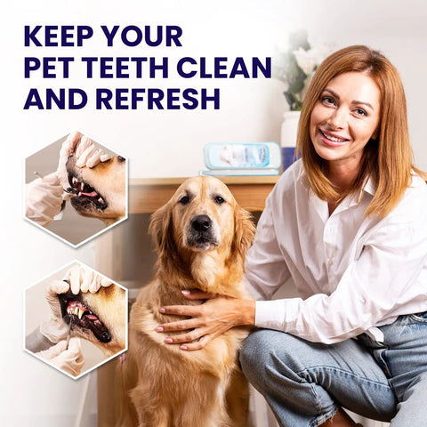 Woman smiling with a golden retriever, pet dental cleaning demonstration, keep your pet teeth clean text visible