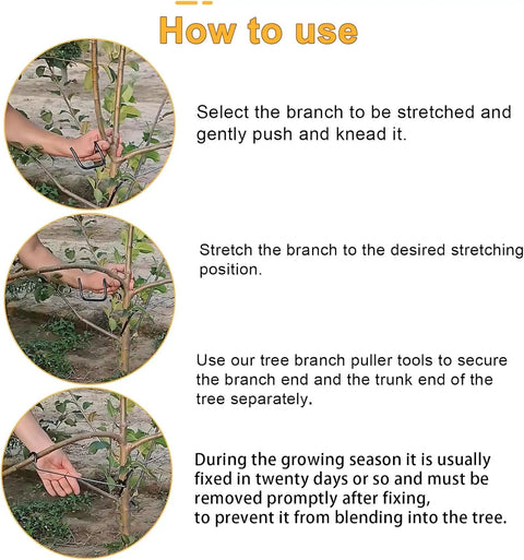 Installation steps for Fruit Tree Limb Spreader Set 20 Pieces 10 Inch Branch Puller With Hose Wrapped Iron Wire To Prevent Bark Damage Open Angle Tree Pruner Branch Bending Tool 26T with hands positioning tools on branches.