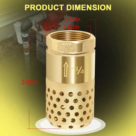 Well Pump Foot Valve 1-1/4 Inch Female NPT Check Valve with brass body and 0.18 inch filter holes, dimension details