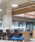 Modern office with desks and chairs, lit by overhead lighting. Ideal for bright spaces using Lit 6500 Lumen A21 LED Bulb Replaces 450W Incandescents.