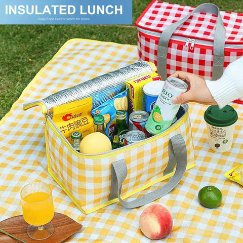 Lightweight Foldable Insulated Picnic Cooler Bag With Zippered Top And 24L Capacity For Hot Or Cold Food on picnic blanket.