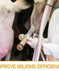 Portable Goat Milking Cup Replacement Part With Plastic Milking Liner Lightweight Hygienic For Dairy Operations And Field Use Ideal For Mobile Milking Across Farms And Barns, close-up on teat cup
