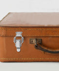 Heavy Duty Iron Spring Toggle Latches With Duckbill Shock Absorbing Design securing a brown toolbox.