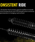 DRiV Monroe suspension shock absorber and coil spring assembly, pair for Ford F-150, side view
