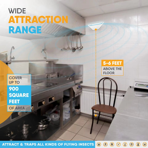 Lowkey White Wall Sconce Fly Light Trap With Shatterproof UV Lamp mounted in a commercial kitchen showing coverage area and height.