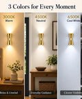 2 Pack Rechargeable Wall Sconces with Motion Sensor and Magnetic Mount in three color options illuminating different settings.