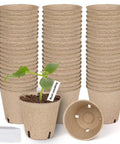 Sixty Pack 3.15 Inch Biodegradable Peat Pots With Drainage Holes For Seedlings shown with labels and sprouting plant.