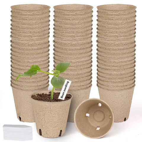 Sixty Pack 3.15 Inch Biodegradable Peat Pots With Drainage Holes For Seedlings shown with labels and sprouting plant.