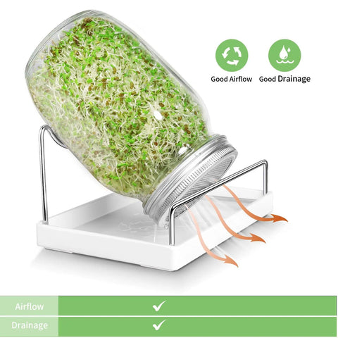 Two Wide Mouth Sprouting Jars Kit With 316 Stainless Steel Lids, Drip Tray And Stand, Blackout Sleeves, And Everything You Need To Grow Fresh Broccoli, Alfalfa, And Bean Sprouts At Home shown with jar, stand, and drip tray displaying airflow and drainage features.