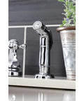Metropolitan Two-Handle Centerset Kitchen Faucet With Side Sprayer in Polished Chrome, close-up view next to plant