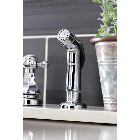 Metropolitan Two-Handle Centerset Kitchen Faucet With Side Sprayer in Polished Chrome, close-up view next to plant