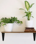 Ten Pack Beefy Black Shelf Brackets 4 By 3 Inch Metal Floating Shelf Brackets under a wooden shelf with plants