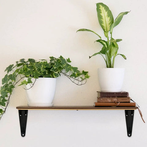 Ten Pack Beefy Black Shelf Brackets 4 By 3 Inch Metal Floating Shelf Brackets under a wooden shelf with plants