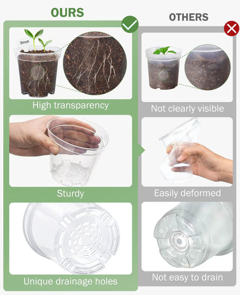 Three Inch Seed Starter Trays Two Pack With Humidity Dome And Twenty Cell Seedling Trays For Indoor And Outdoor Gardening Includes Forty 3 Inch Nursery Pots To Make Germination Quick And Planting A Breeze