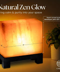 Himalayan Salt Lamp Rectangle In Natural Pink Rock With Wood Base Dimmable Cord Night Light glowing on table next to plant
