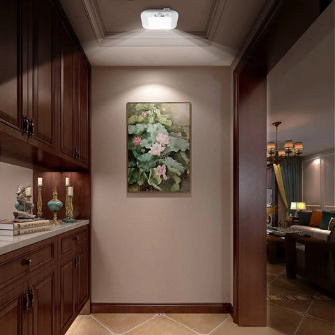 Battery Powered Motion Sensor Ceiling Light 180 Lm 6000K Cool White 48 LED Wireless Closet Lights illuminating hallway
