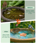 Before and after effects of Pure Copper Bird Bath Purification Disk Solar Powered Outdoor No Chemicals Needed Water Cleaner.