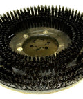 16 Inch Heavy Duty Poly Scrub Brush Built Tough As Nails For Smooth Cleanup Sessions Kicks Serious Grime Out Fast And Plays Nice On Hard Floors Replaces Models 5680 5700 T12 T17 T20 M20 M30, detail of black bristle pad.