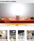 A19 LED Light Bulbs 6500K Cool White, 12.3W, 1710 Lumens, 100W Equivalent, E26 Medium Screw Base, Non Dimmable displayed