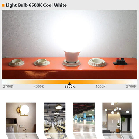 A19 LED Light Bulbs 6500K Cool White, 12.3W, 1710 Lumens, 100W Equivalent, E26 Medium Screw Base, Non Dimmable displayed