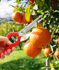 Hand using Extra Long Reach Pruning Shears With Stainless Steel Blades For Easy Deadheading And Precise Trims In The Garden on fruit