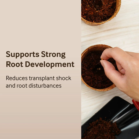 Hand planting a seed in 3.25 Inch Coconut Coir Biodegradable Pots 22 Pack Plantable Seed Starter Pots Peat Free Eco Friendly Sustainable Garden Containers For Home Growers And Urban Gardeners