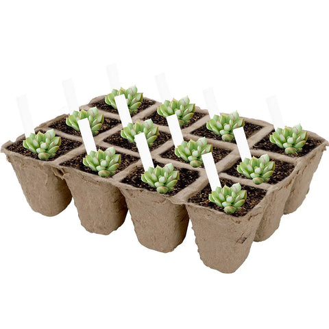 40 Pack Seed Starter Trays With 480 Cells Biodegradable Peat Pots Made From Paper And Grass Charcoal, Eco Friendly Germination Tray Kit With 40 Plant Labels For Veggies, Flowers, Herbs, Indoor Or Outdoor Garden featuring trays with young plants and labels.