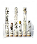 Clear Acrylic Six Well Test Tube Rack For Ten To Sixteen Milliliter Centrifuge Tubes with decorative samples inside tubes