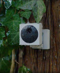 Battery Powered Wire Free Outdoor Security Camera Kit With Base Station 1080P Picture Night Vision mounted on tree.