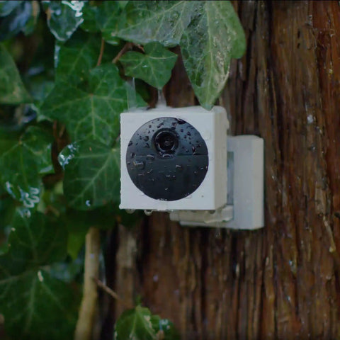 Battery Powered Wire Free Outdoor Security Camera Kit With Base Station 1080P Picture Night Vision mounted on tree.