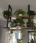 Heavy Duty Floating Shelf Brackets With Screws, Ceiling Mount Support, Two Tier Metal Hanging Rack In Matte Black, Three Pack supporting indoor plants.