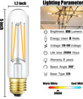 Dimensions of Vintage Edison Style LED Bulbs 6W Equivalent 60W Warm White 2700K 600lm Dimmable E26 shown with lighting parameters.