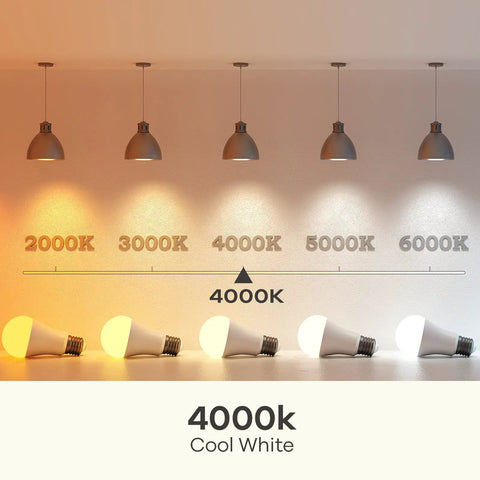 A19 LED Light Bulb 60W Equivalent, 8.5W 4000K Cool White, 840 Lumens compares different color temperatures under lamps.