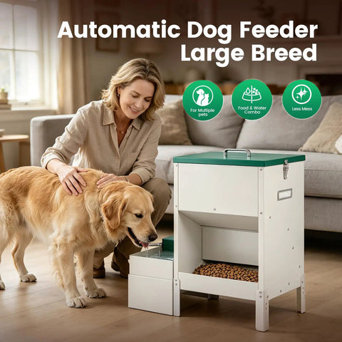No Sweat Elevated Dog Feeding Station With Heavy Duty Metal Gravity Bowl And Six Liter Automatic Water Dispenser For Active Doggos Up To Fifty Pounds Always, shown with golden retriever