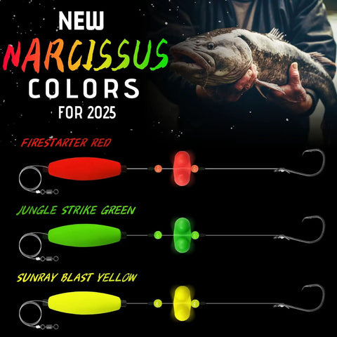 Three colorful catfish rigs in red, green, and yellow with circle hooks, labeled 'Narcissus Colors', alongside an angler holding a catfish.
