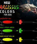 New Narcissus colors for 2025 catfish rig set in Firestarter Red, Jungle Strike Green, Sunray Blast Yellow with circle hooks, catfish image.