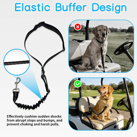 Solid Golf Cart Dog Seat Leash And Adjustable Safety Harness With Tangle-Free Retractable Strap To Lock In Your Pup During Rides Or Walks Using Elastic Buffer Tech And Universal Fit For Solo Dogs displayed on a golf cart with dog.