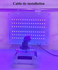 48W UV Resin Curing Light with 360 Degree Rotating Stand and Solar Turntable in use, LED array activated