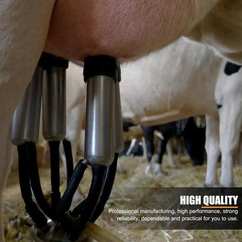 4 Silicone Teat Cups Cow Milking Cluster With Stainless Steel Shell And Milk Claw Assembly in use on dairy cattle