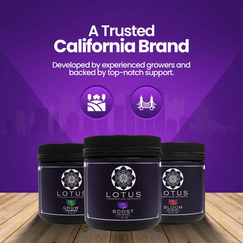 Three Part Plant Nutrient Starter Kit with Grow Bloom and Boost powders on a wooden surface, purple packaging, indoor and outdoor use.