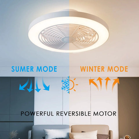 Low Profile Ceiling Fan With Remote Dope Quiet DC Motor 19.7 Inch Flush Mount 8 Blade Design showing summer and winter modes