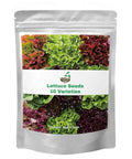 Over 20,000 Lettuce Seeds Pack With 10 Fresh Varieties For Indoor Or Outdoor Growing No Fuss Easy Grow For Beginners
