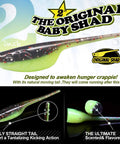 Crappie Fishing Kit With Baby Shad Soft Plastics And Spinner Jig Heads 40 Piece Crappie Panfish Lure Set Includes 30 Two Inch Shads