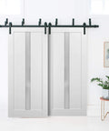 Double sliding lite panel door with heavy duty steel rails set in white silk finish and frosted opaque glass for modern home or studio
