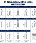 Premium M2 M3 M4 Phillips Pan Head Self Tapping Screws Tough As Nails Carbon Steel 625 piece size chart