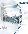 Life Size Human Skeleton Model, 70.8 Inches Tall with Movable Arms and Legs, in a lab on rolling stand, features listed.