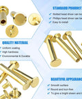 Premium Pro Grade Chicago Screws Assortment Kit M5 Brass Plated Binding Screw Posts with smooth surfaces and uniform coating.