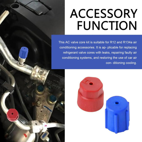 17 Piece Car Air Conditioning Valve Core Kit With Caps And Service Valves For R12 R134A Systems Universal AC.