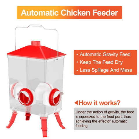 Three Point Six Gallon Chicken Feeder With Anti Roost Cone 3 Adjustable Height Locking Legs Four No Waste Ports in coop